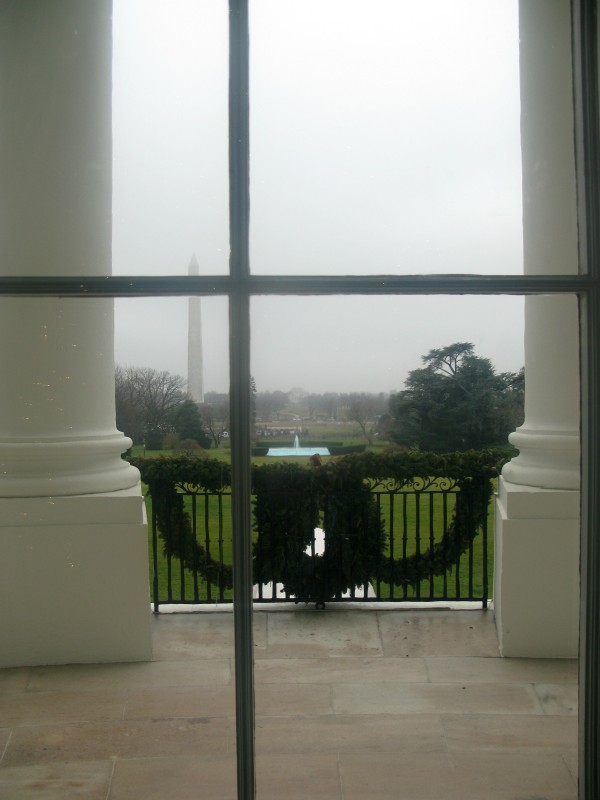 View from the Blue Room